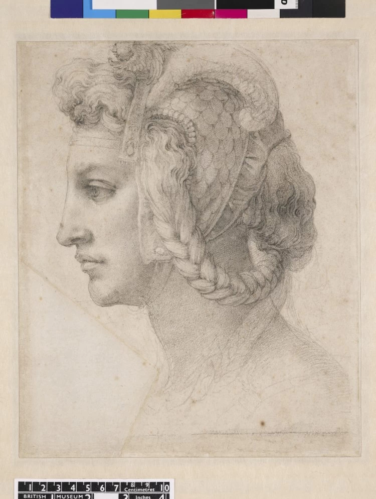 Studio di profilo di donna